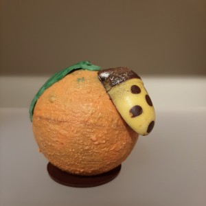 sinaasappel met bug / orange and bug