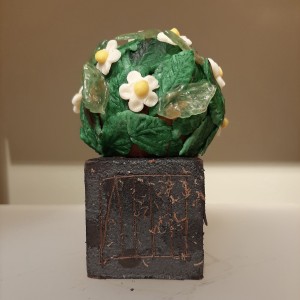 citroenboom / lemon tree