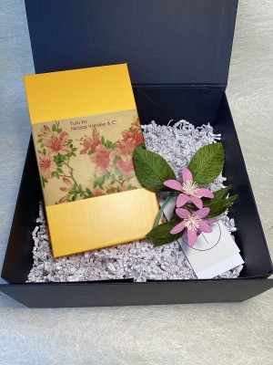 doos met 12 pralines / box with 12 chocolates