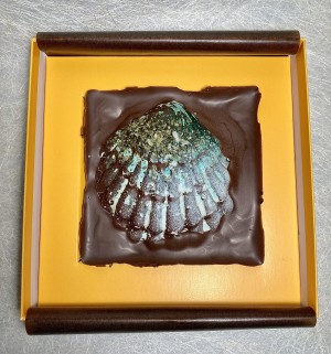 Schelp melkchocolade - sea shell milk chocolate.