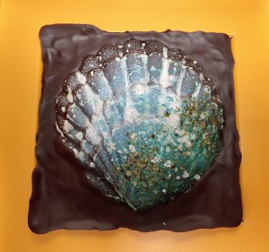 Schelp donkere chocolade - sea shell dark chocolate.