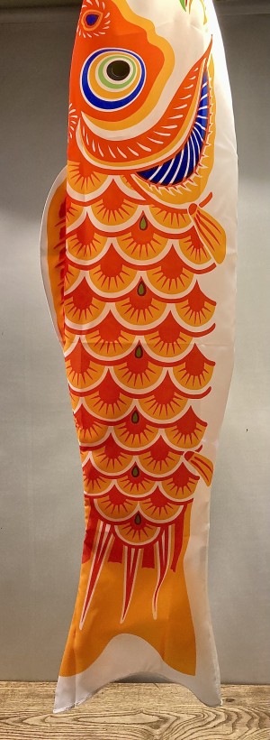 vlag vis/koi.